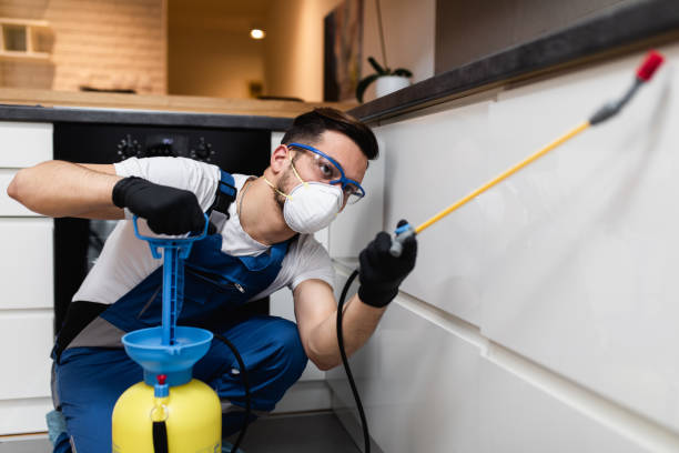 Best Emergency Pest Control  in Stewartville, AL