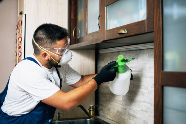 Best Best Pest Control Companies  in Stewartville, AL
