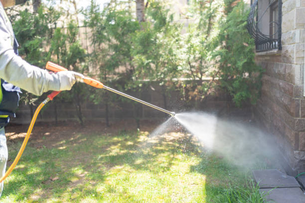 Bird Control in Stewartville, AL
