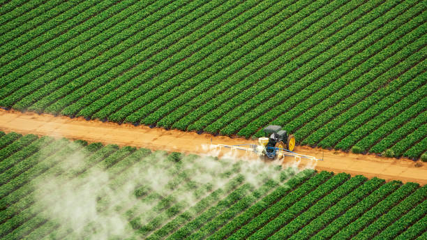 Professional Pest Control in Stewartville, AL