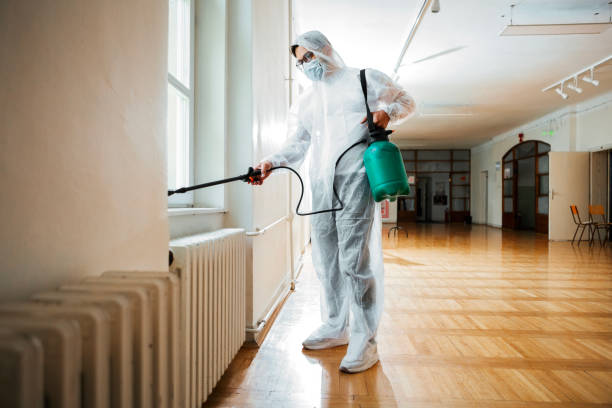Best Wasp Removal Services  in Stewartville, AL