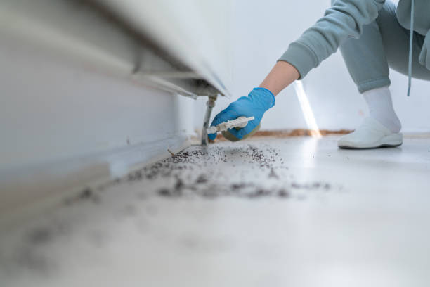 Best Residential Pest Control  in Stewartville, AL